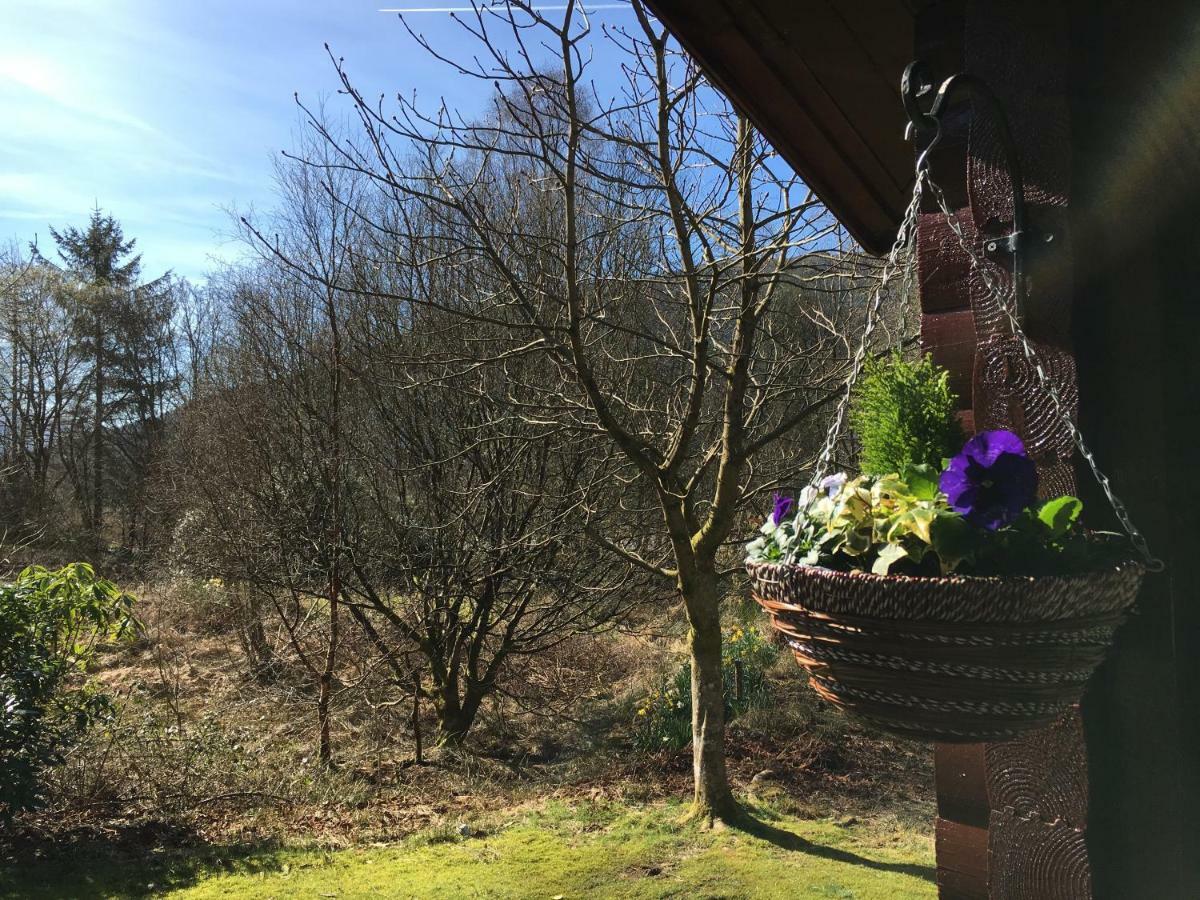 Stravaigin Lodge Dunoon Bagian luar foto